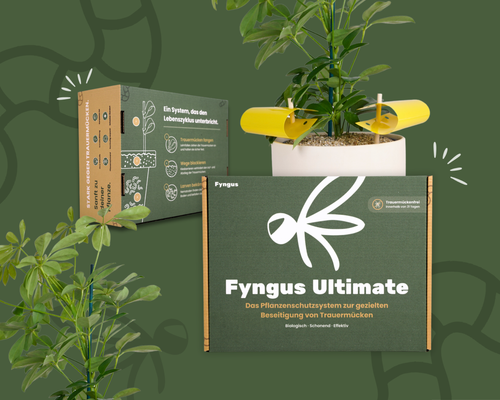 Fyngus Ultimate – Biologisches System gegen Trauermücken