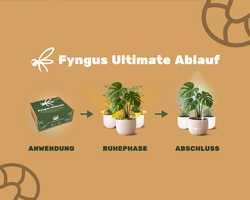 Fyngus Ultimate – Biologisches System gegen Trauermücken