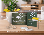 Fyngus Ultimate – Biologisches System gegen Trauermücken