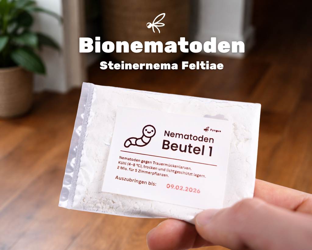 Fyngus Ultimate – Biologisches System gegen Trauermücken