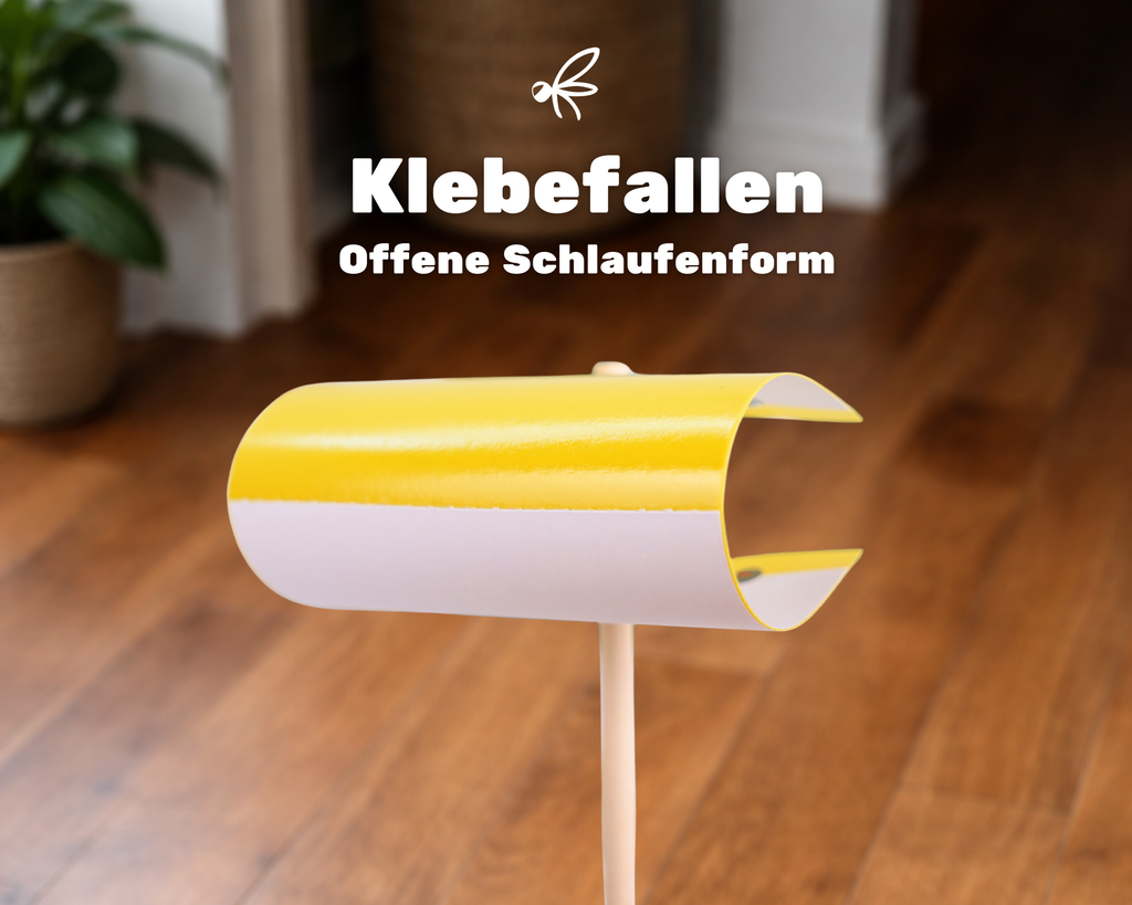 Fyngus Ultimate – Biologisches System gegen Trauermücken