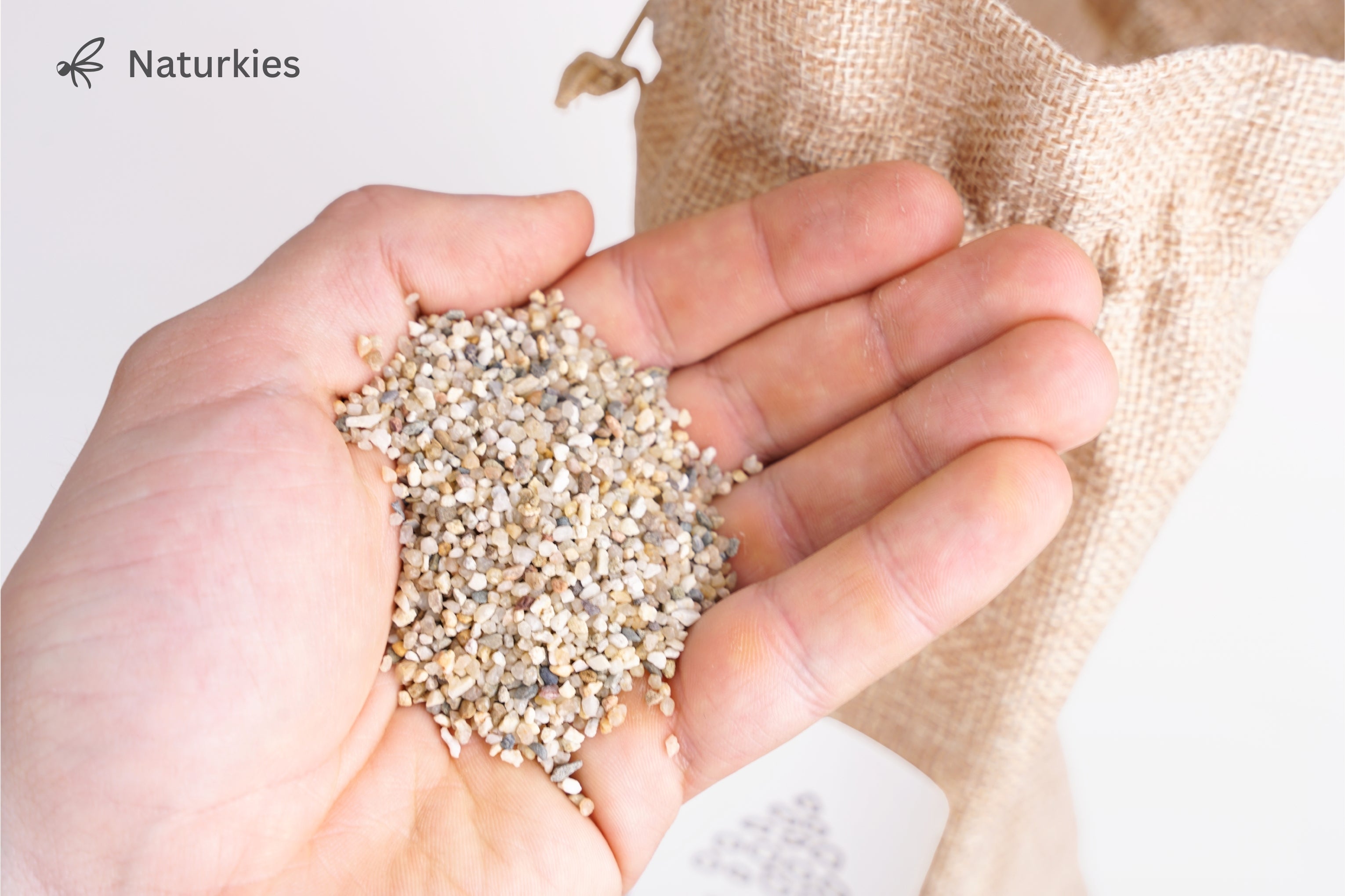 Fyngus Ultimate – Biologisches System gegen Trauermücken