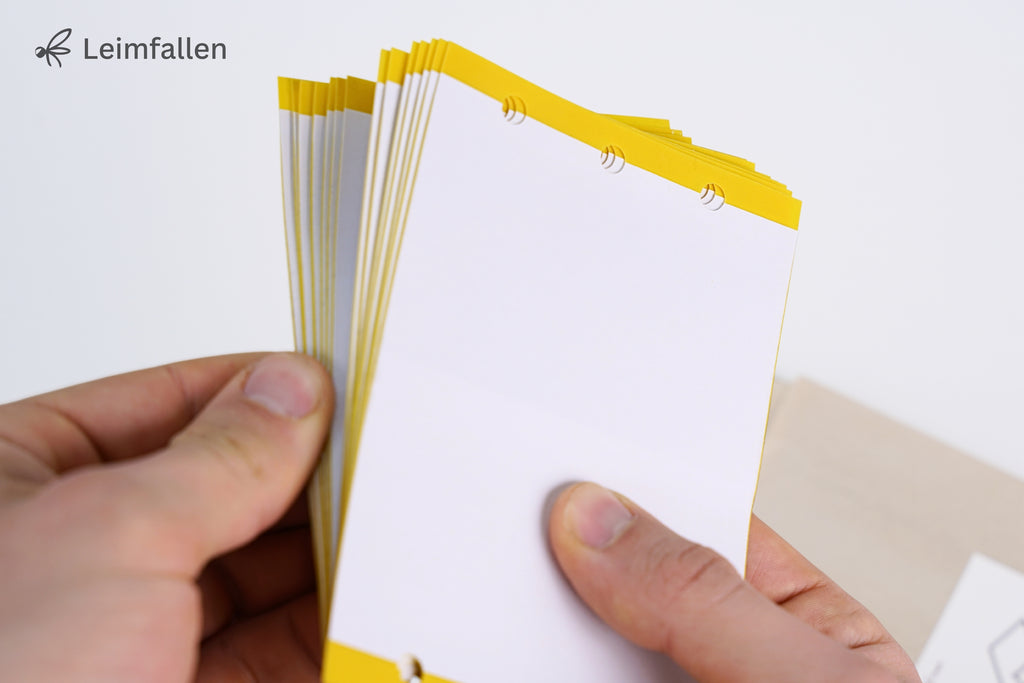 Fyngus Ultimate – Biologisches System gegen Trauermücken