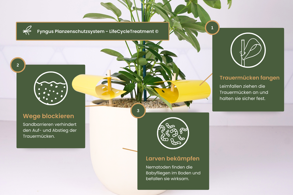 Fyngus Ultimate – Biologisches System gegen Trauermücken