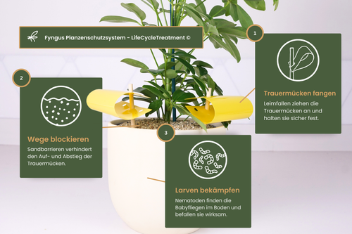 Fyngus Ultimate – Biologisches System gegen Trauermücken