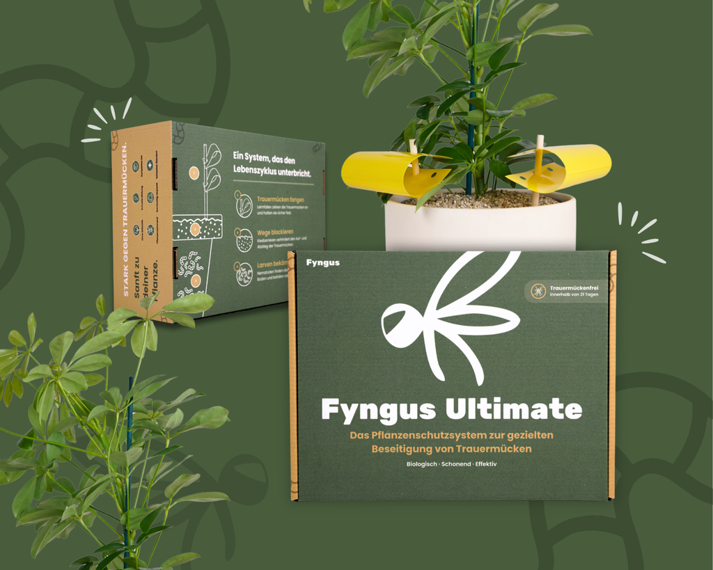 Fyngus Ultimate – Biologisches System gegen Trauermücken