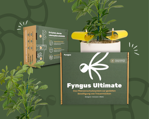 Fyngus Ultimate – Biologisches System gegen Trauermücken